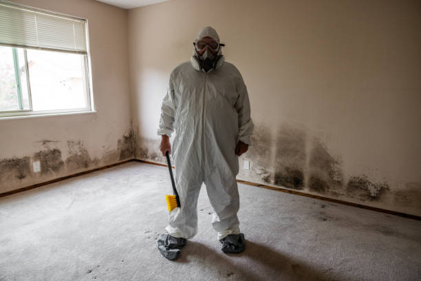 Best HVAC Mold Remediation in Dundee, NY